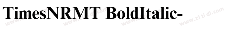 TimesNRMT BoldItalic字体转换